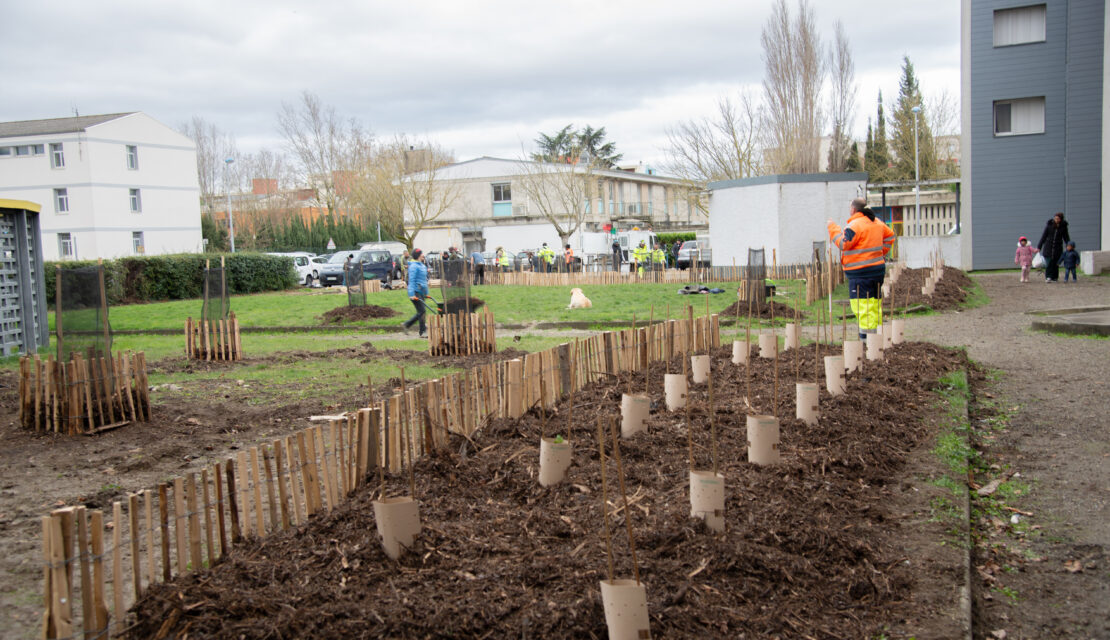 CHANTIER PARTICIPATIF DE PLANTATION AU VIGUIER A CARCASSONNE
